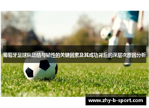 葡萄牙足球队团结与韧性的关键因素及其成功背后的深层次原因分析