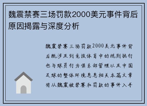 魏震禁赛三场罚款2000美元事件背后原因揭露与深度分析