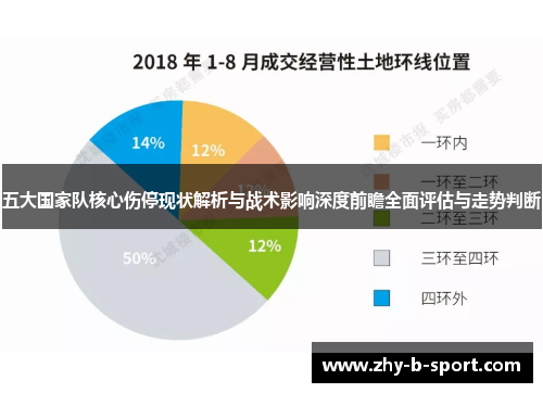 五大国家队核心伤停现状解析与战术影响深度前瞻全面评估与走势判断