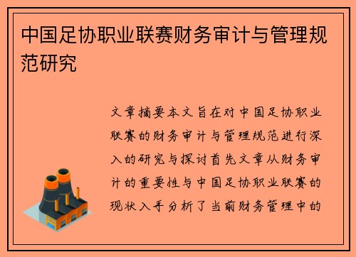 中国足协职业联赛财务审计与管理规范研究